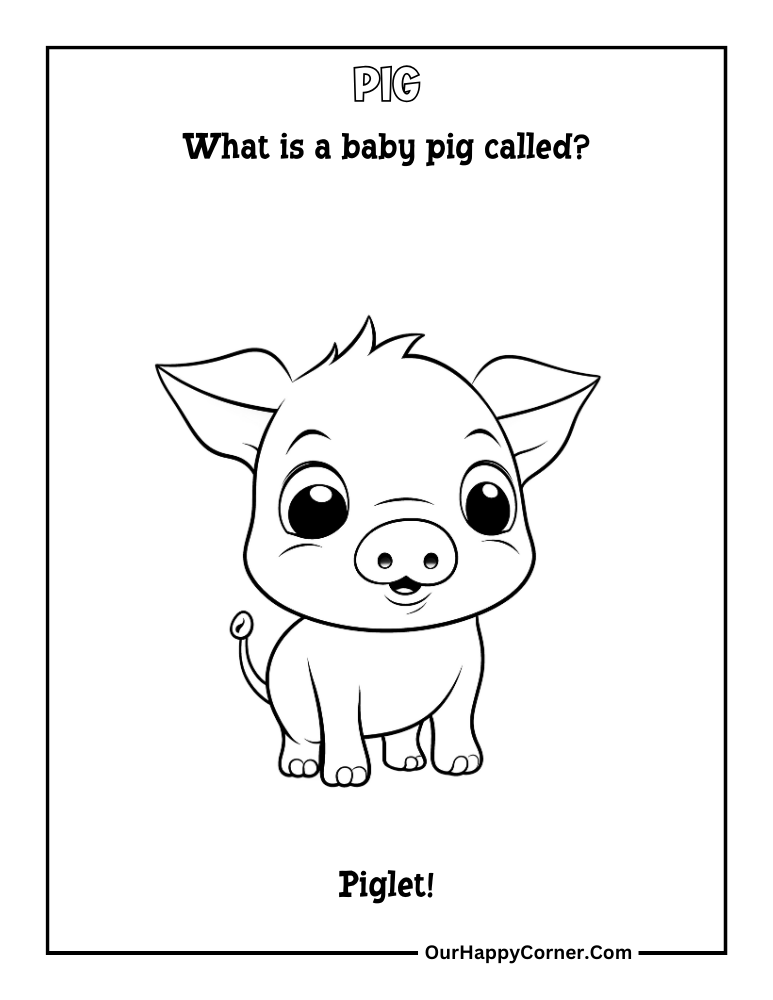 pig coloring page