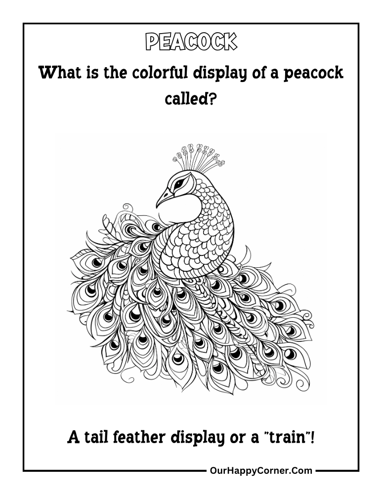 Peacock farm animal coloring page