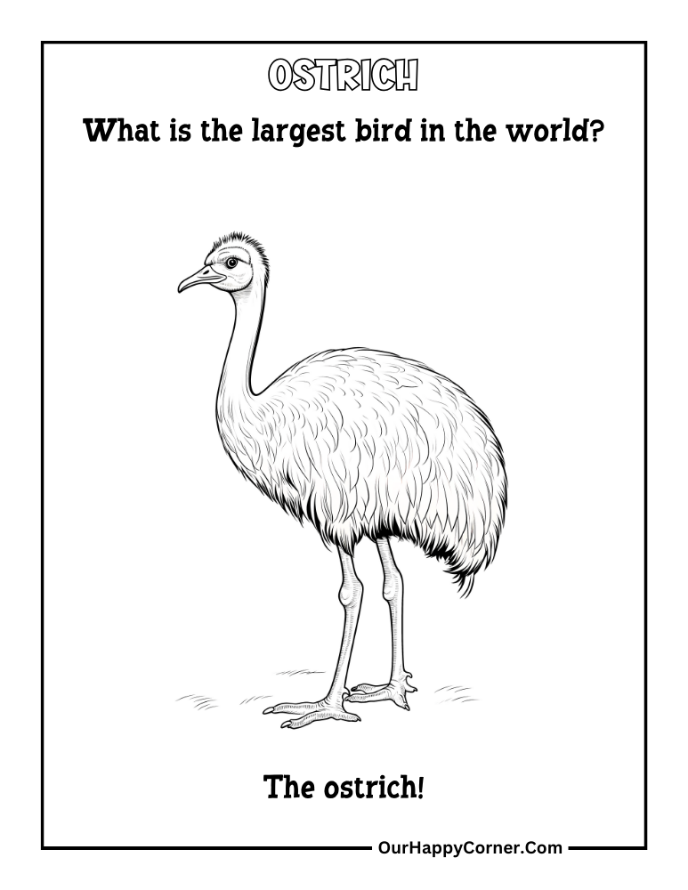 ostrich coloring page