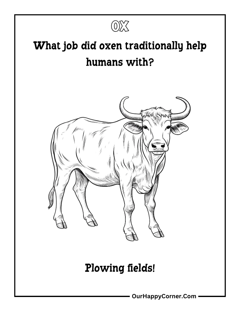 Oxen coloring page