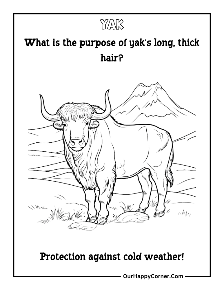 Yak Farm Animal Coloring Page 