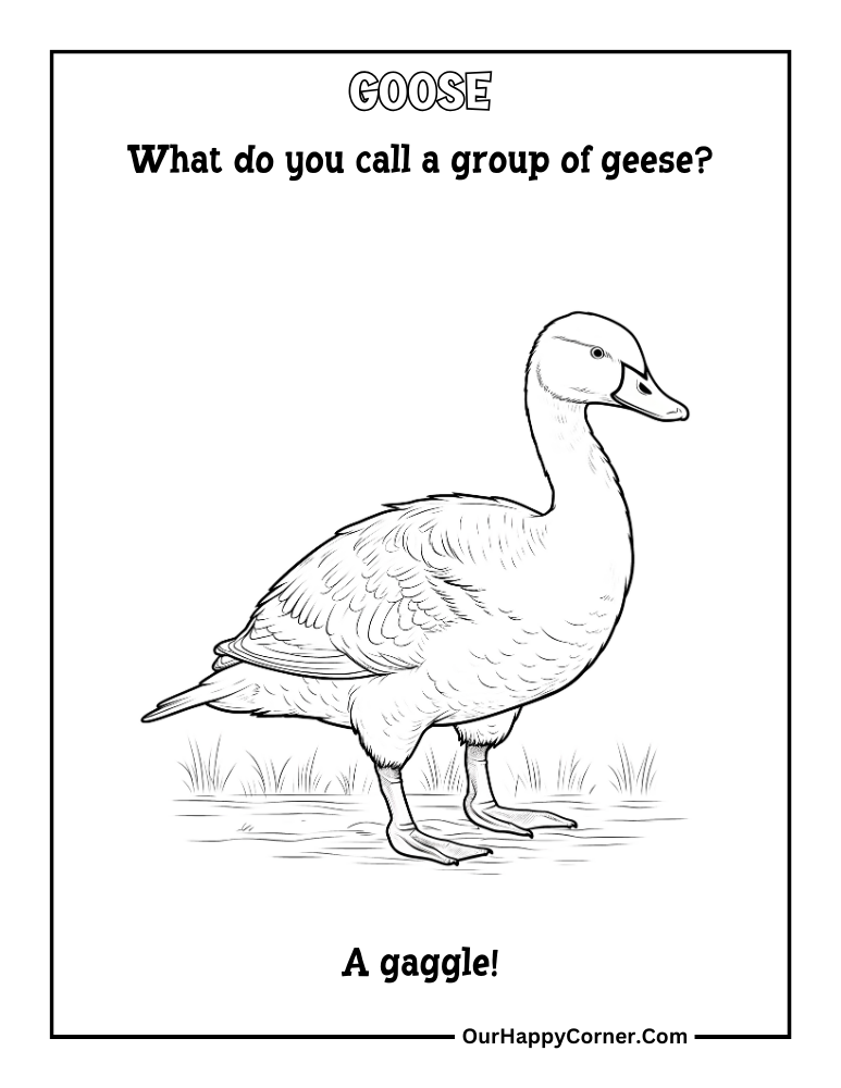 Goose coloring page