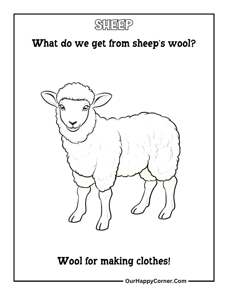 sheep coloring page