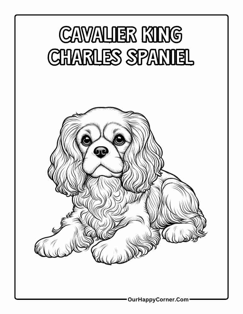 Cavalier King Charles Spaniel Coloring Page