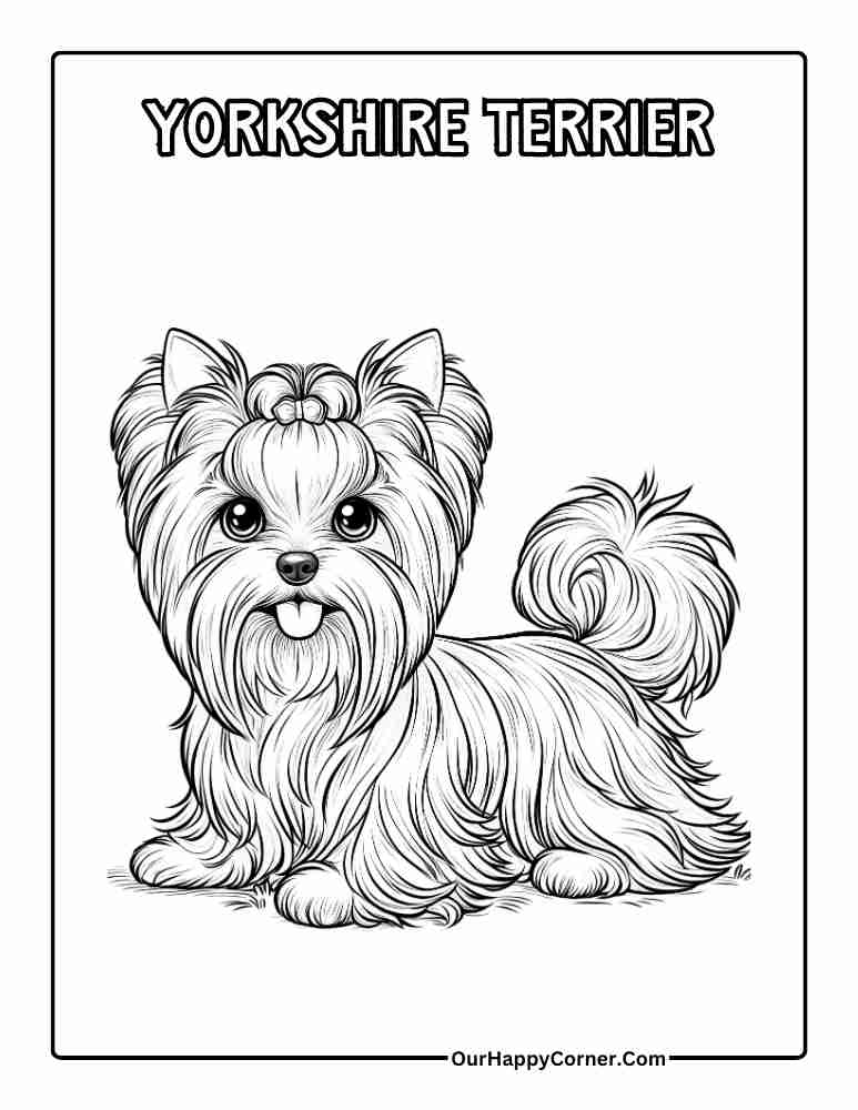 Yorkshire Terrier Dog Breed Coloring Page