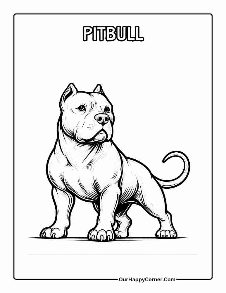 Pitbull Coloring Page