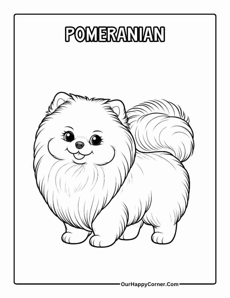 Pomeranian Dog Breed Coloring Page