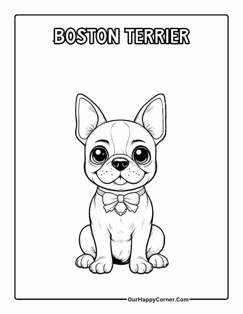 Boston Terrier Coloring Page