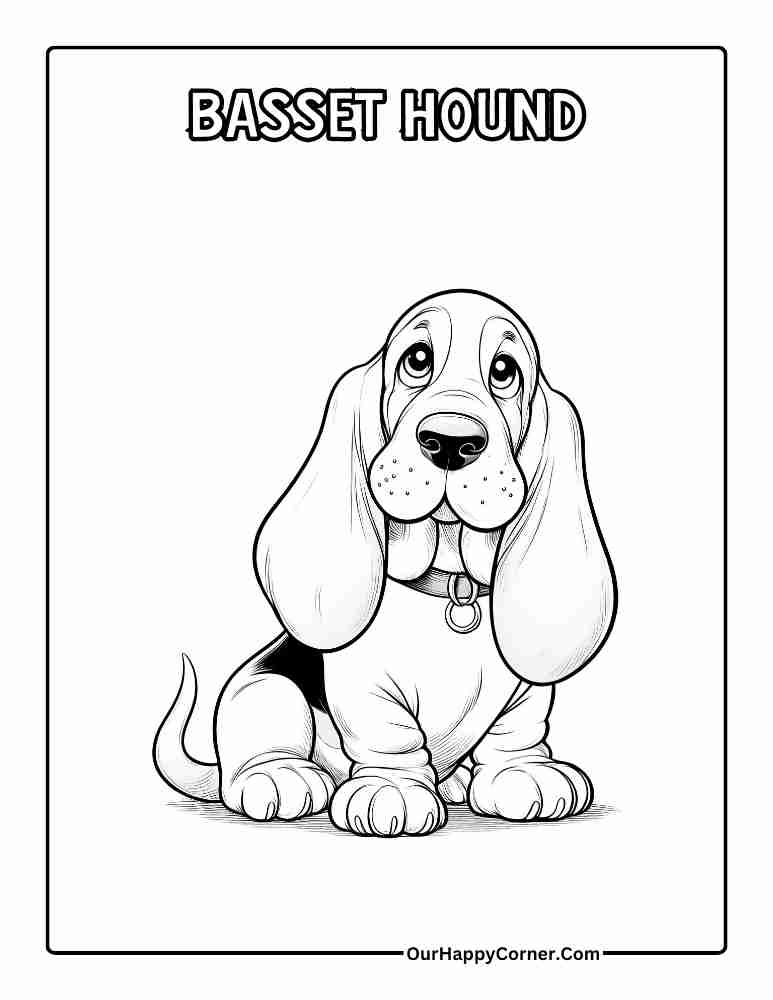 Basset Hound Coloring Page