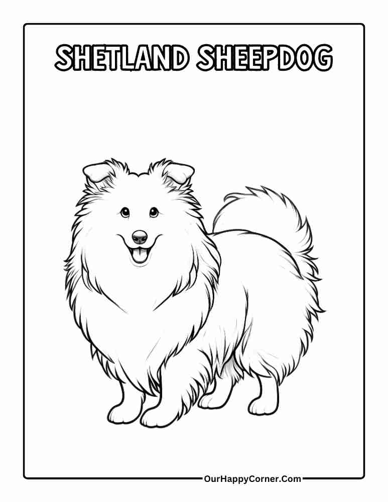 Shetland Sheepdog Coloring Page