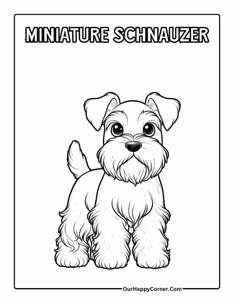 Miniature Schnauzer Coloring Page