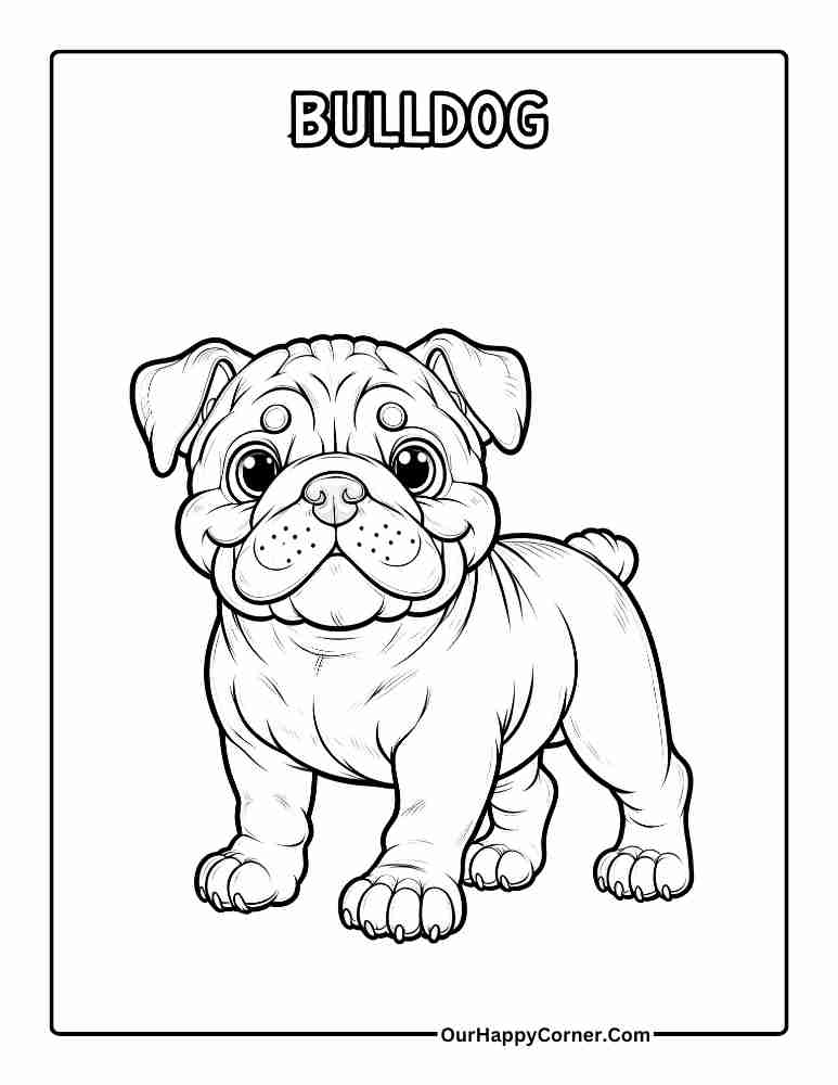 Bulldog Coloring Page