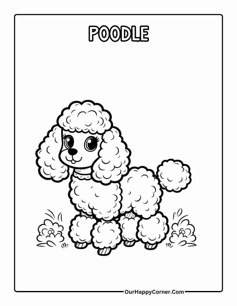 Poodle Dog Breed