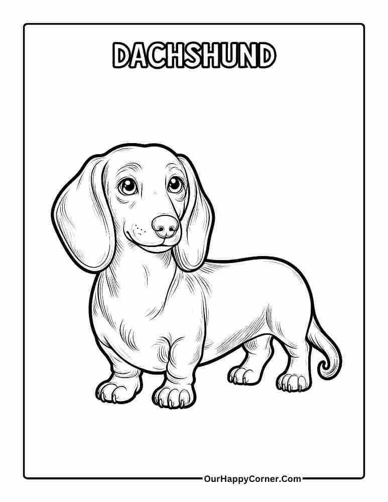 Dog Breed Coloring Pages of Dachshund