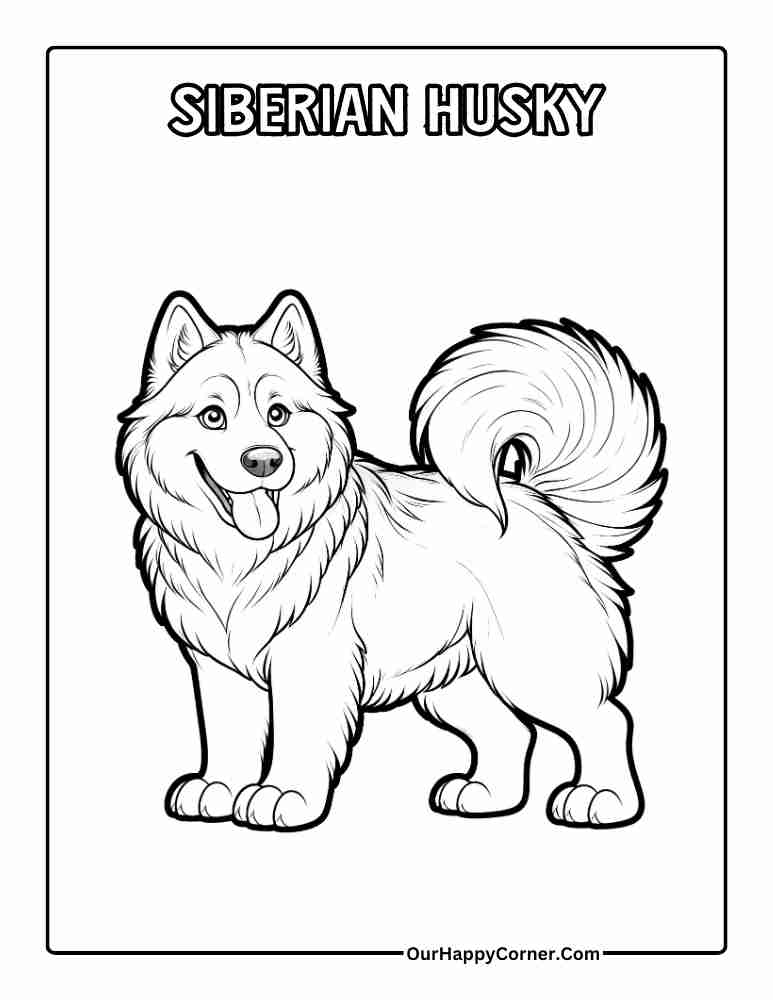 Siberian Husky Coloring Page