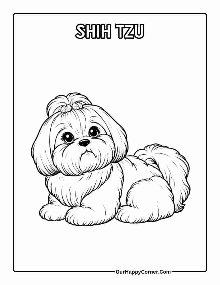 Shih Tzu Coloring Page