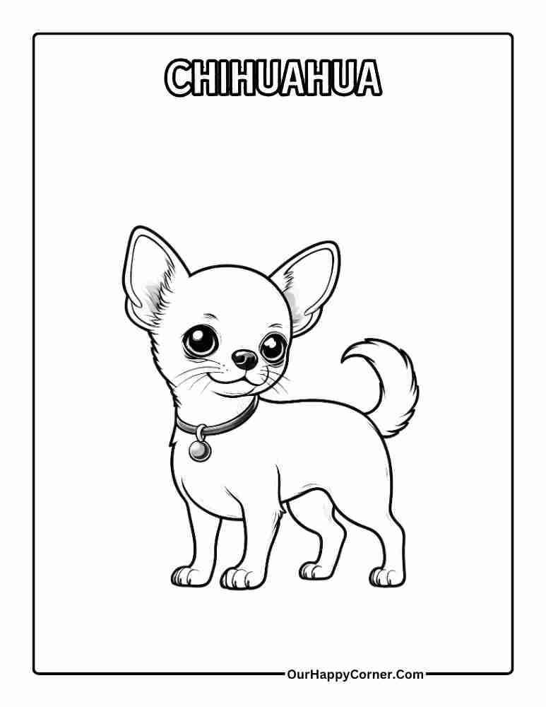 Chihuahua Coloring Page