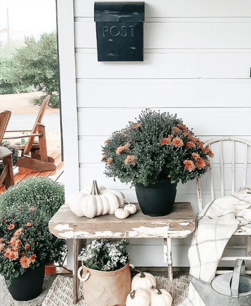 Simple decor with a vintage bench, potted plants, pumpkins, and a black mailbox