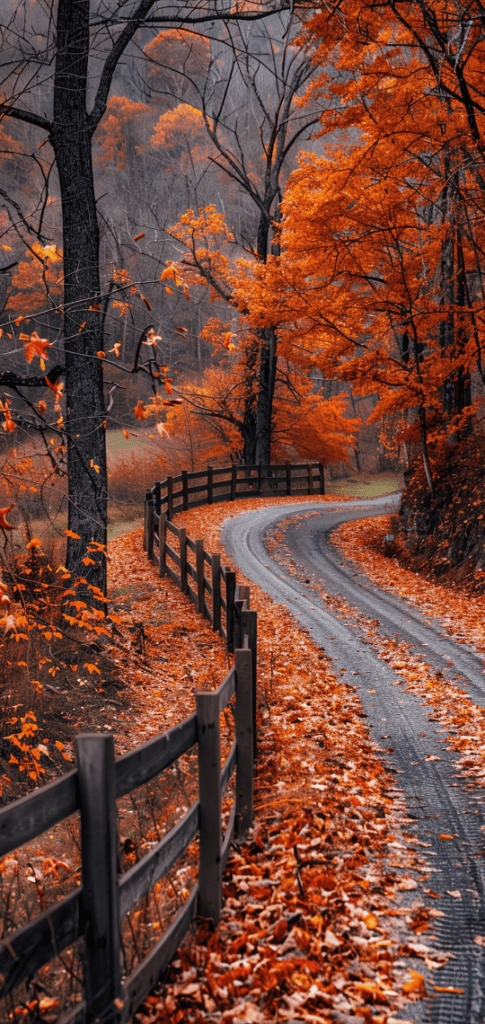 falling leaves on road side