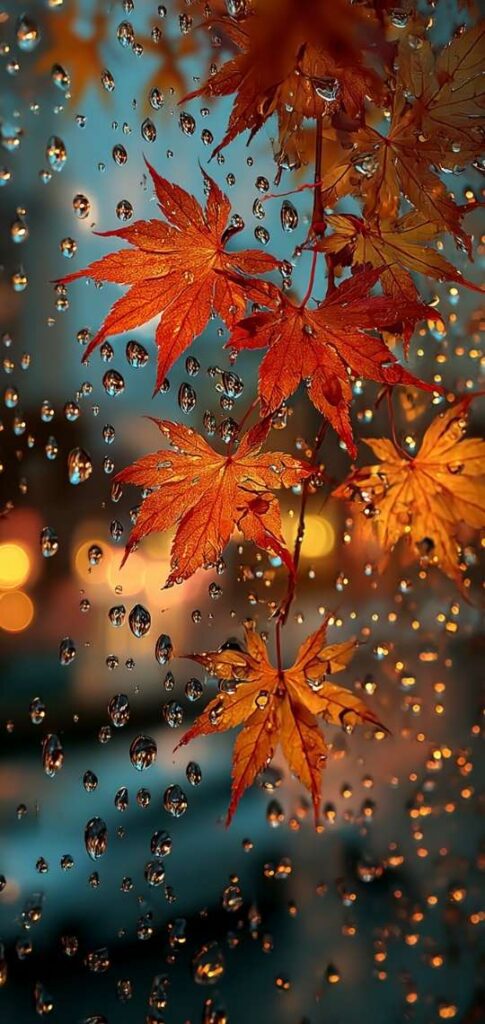 Autumn leaves behind glass with rain droplets and bokeh lights.