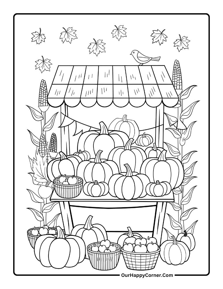 Pumpkins displayed on a marked coloring page