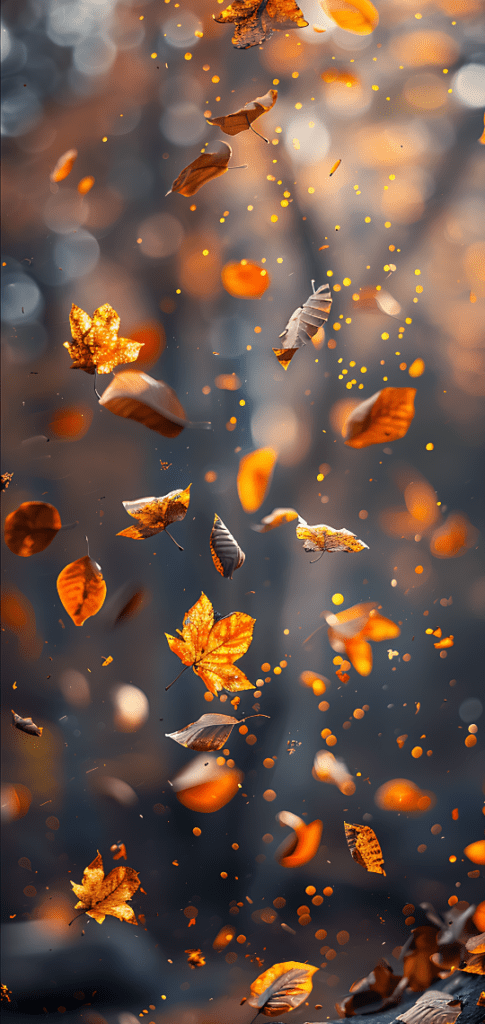 fall wallpapers