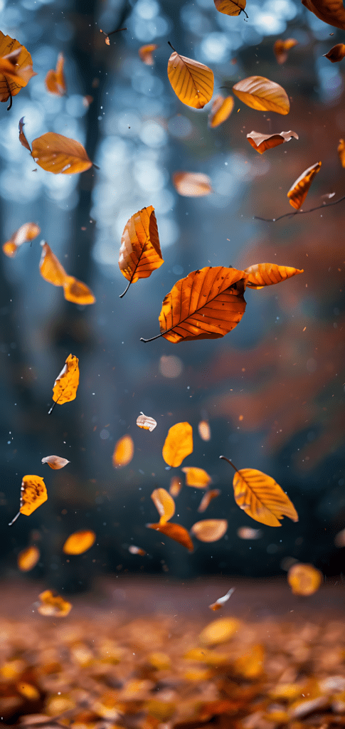 fall wallpapers