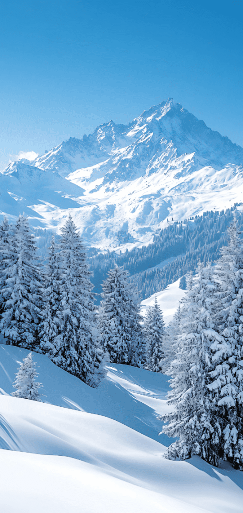 Snow-covered mountains and trees under a clear blue sky.

