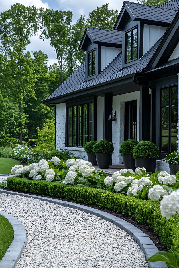 Front yard with white hydrangeas, boxwood shrubs, and a curved gravel walkway.