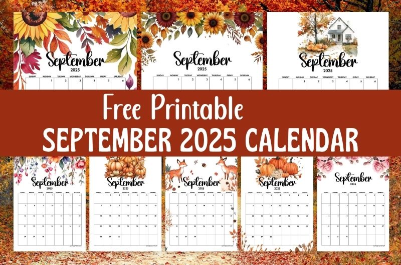 2024 Yearly Calendar Printable