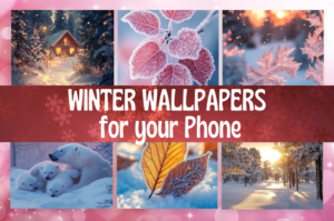 Winter wallpapers for your phone