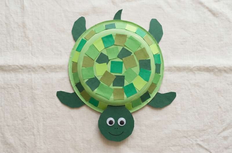 Paper Plate Turtle Craft for Kids - Easy Summer Activity - Our Happy Corner