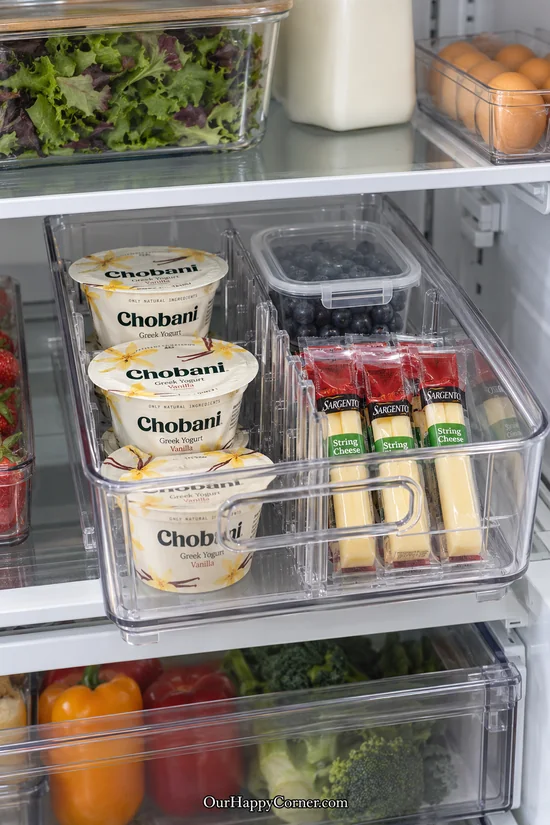 Handled refrigerator bin with adjustable sections for yogurt and wrapped cheese